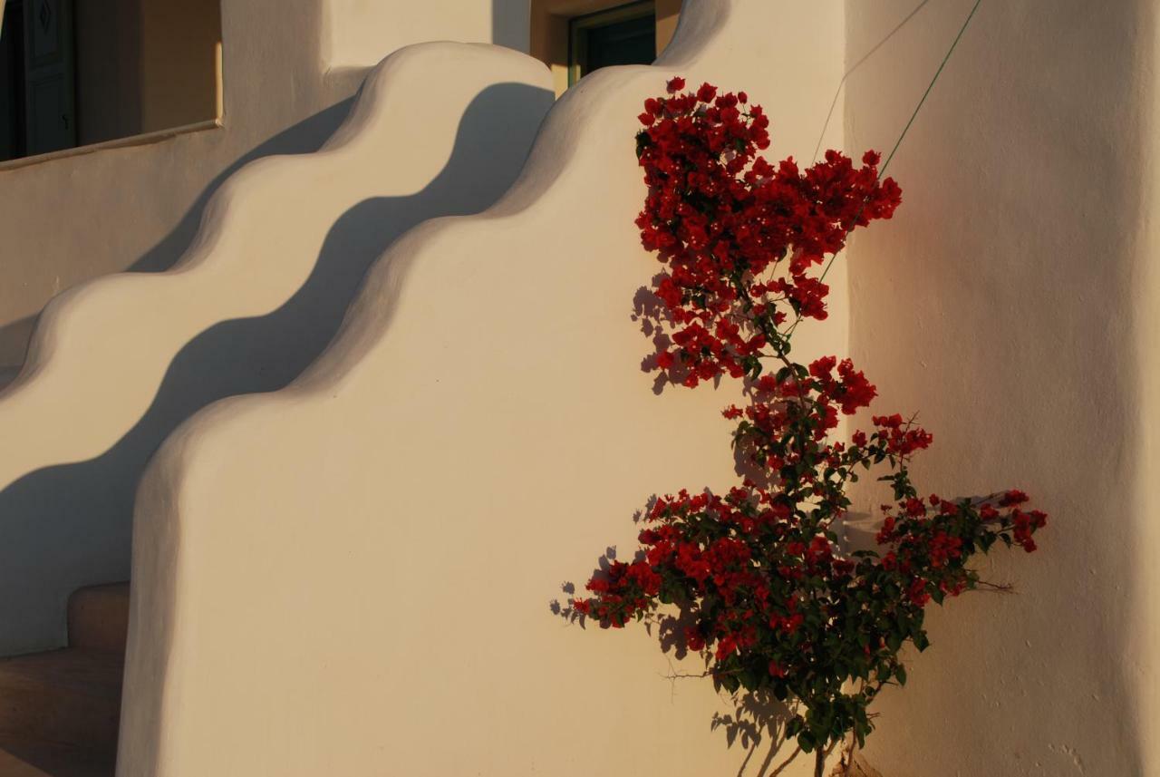 Villa Kampos Naousa-Marpisa Ambelas Exterior photo